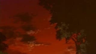 A hard chinko to screw her tight pussy!