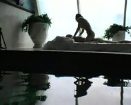 Ymmi a dutch/japanese real geisha Part 2